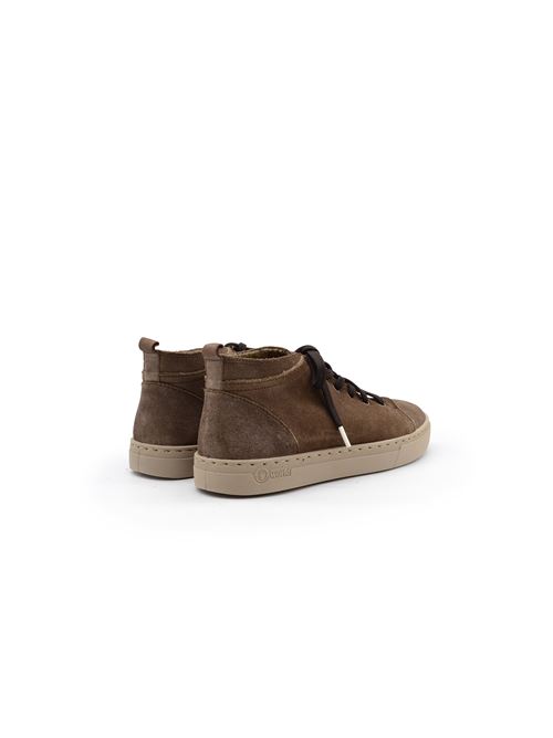 POLACCO LACCI BROWN NATURAL WORLD | 6721CMARRON
